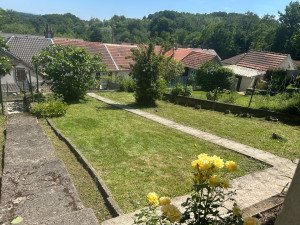 Photo de galerie - Tonte de pelouse + taille d’arbuste + élimination mauvaises herbes 
