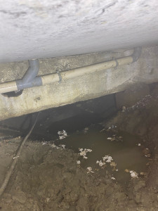 Photo de galerie - Changement de tuyaux dans un vide sanitaire 