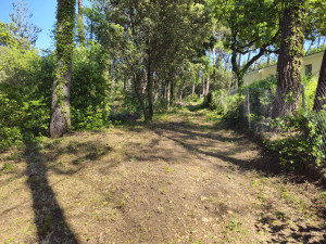 Photo de galerie - Tonte de pelouse - Débroussaillage