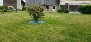 Photo de galerie - Tondu comme un terrain de golf, a ras les pâquerettes !