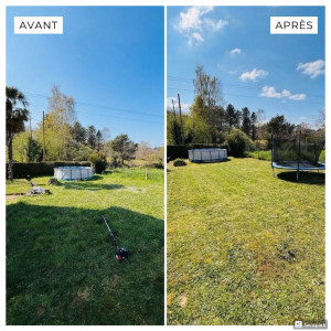 Photo de galerie - Tonte complète de pelouse – résultat propre et soigné