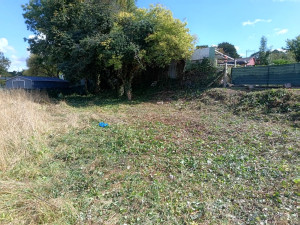 Photo de galerie - Débroussaillage 