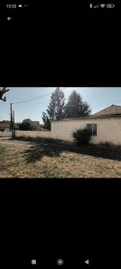 Photo de galerie - Avant débroussaillage.