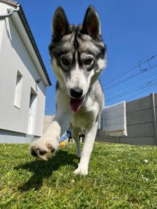 Photo de galerie - La partenaire d’une vie !