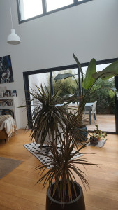 Photo de galerie - Salon