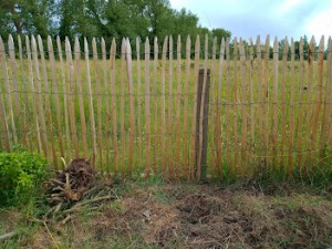 Photo de galerie - Installation d'une clôture ganivelle