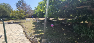 Photo de galerie - Tonte de pelouse - Débroussaillage