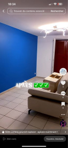 Photo de galerie - Rénovation tout le salon plus mur en L en couleur  