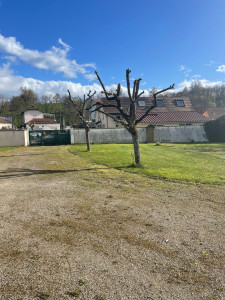 Photo de galerie - Elagage et coupe d'arbres