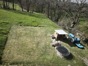 Photo de galerie - Tonte de pelouse 