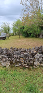 Photo de galerie - Tonte grâce à un tracteur + Débrousallage la hauteur de l'herbe était de 30cm 