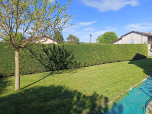 Photo de galerie - Taille de haies 