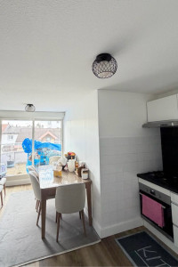 Photo de galerie - Fixation de deux lustres identique