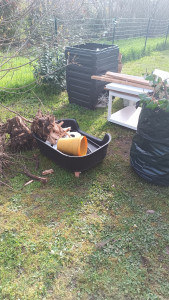 Photo de galerie - Manutention