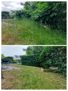 Photo de galerie - Tonte de pelouse - Débroussaillage