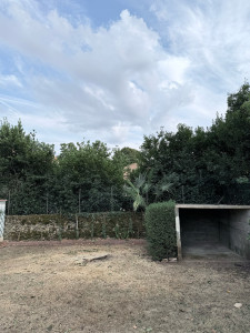 Photo de galerie - Elagage et coupe d'arbres