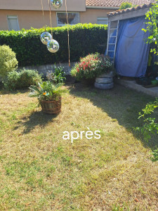 Photo de galerie - Un régal 