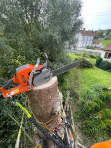 Photo de galerie - Démontage d’un arbre, en toute sécurité 