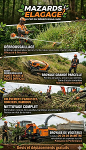 Photo de galerie - Nos prestations proposées 