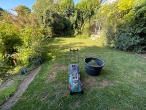 Photo de galerie - Tonte de pelouse + ramassage 