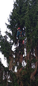 Photo de galerie - Plus de sécurité pour  l'abattage 
 