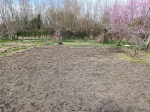 Photo de galerie - Après, remise en état d'un potager. 
