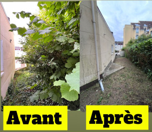 Photo de galerie - Remise en état d’un jardin avant la remise au propriétaire 