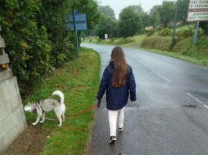 Photo de galerie - Promenade de l'une des chiennes que j'ai gardé 