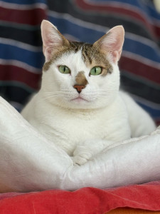 Photo de galerie - Mica