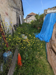 Photo de galerie - Avant remise en l' état, nettoyage zone, débroussaillage+ tonte 