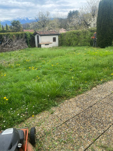 Photo de galerie - Tonte de pelouse 