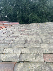 Photo de galerie - Dépose de tuiles 