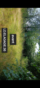 Photo de galerie - Tonte de pelouse - Débroussaillage