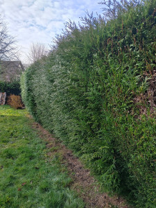 Photo de galerie - Avant 