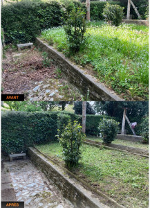 Photo de galerie - Débroussaillage avec ramassage/ nettoyage jardin
