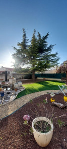 Photo de galerie - Elagage et coupe d'arbres