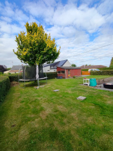 Photo de galerie - Tonte de pelouse - Débroussaillage