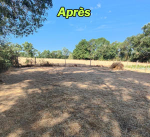 Photo de galerie - Tonte de pelouse - Débroussaillage