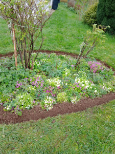 Photo de galerie - Découpe de bordure de gazon à l anglaise 