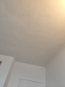 Photo de galerie - .