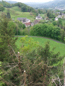 Photo de galerie - élagage cime