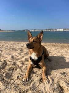 Photo de galerie - Baignade à la mer