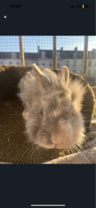 Photo de galerie - ?