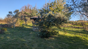 Photo de galerie - Entretien espaces verts
