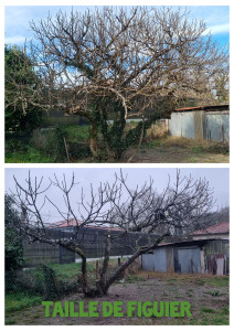 Photo de galerie - Jardinier