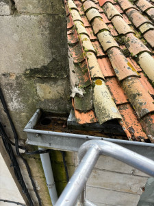 Photo de galerie - Charpente