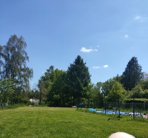 Photo de galerie - Tonte de pelouse - Débroussaillage