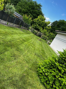 Photo de galerie - Tonte 