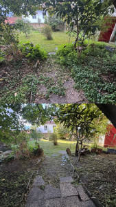 Photo de galerie - Avant / Après