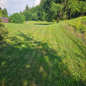 Photo de galerie - Débroussaillage tonte
